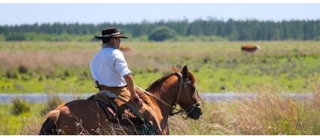 Gaucho Argentino