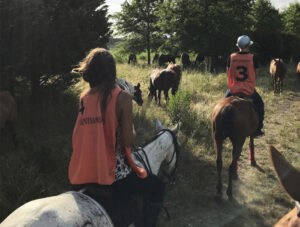 Horseriding in estancias near Buenos Aires